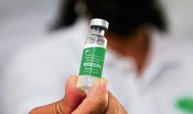 Ấn Độ hy vọng sớm trở lại 'đường đua' xuất khẩu vaccine ngừa COVID-19