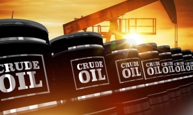 Giá xăng dầu giảm trở lại vì khả năng OPEC+ tiếp tục bơm thêm dầu