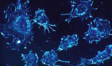 Phát hiện 1 loại enzyme giúp điều trị bệnh bạch cầu ở trẻ em